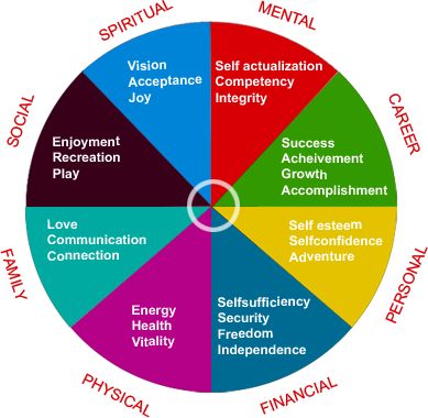 co active coaching wheel of life template